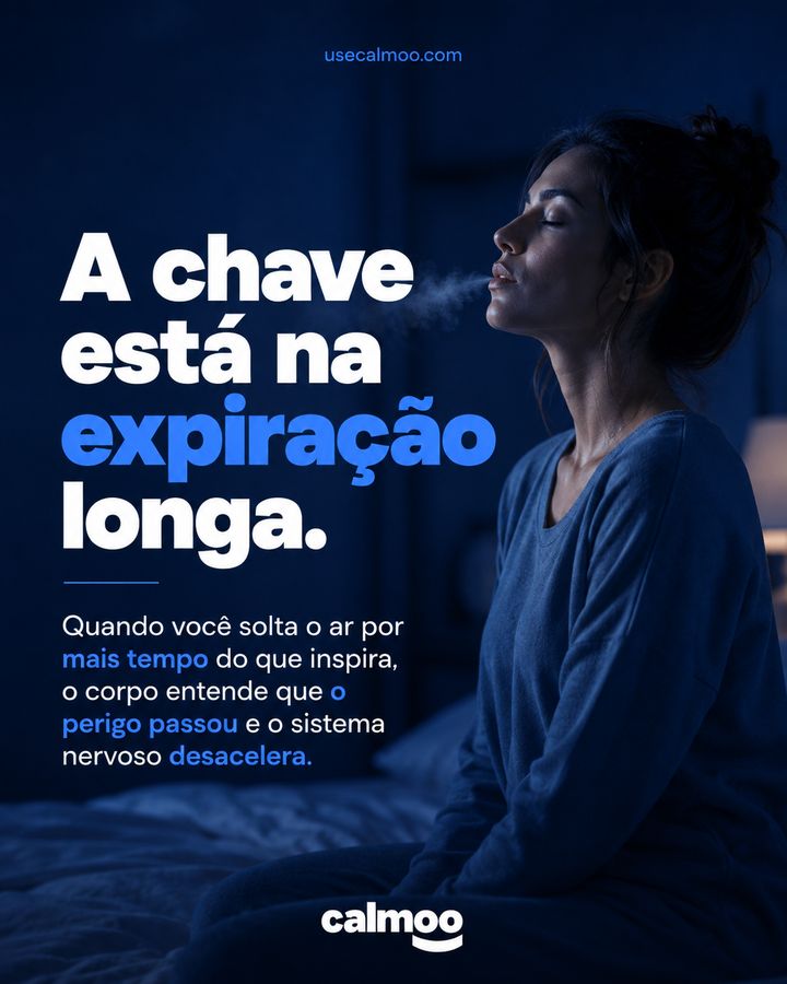 Post criado pela Agency Zero para Calmoo