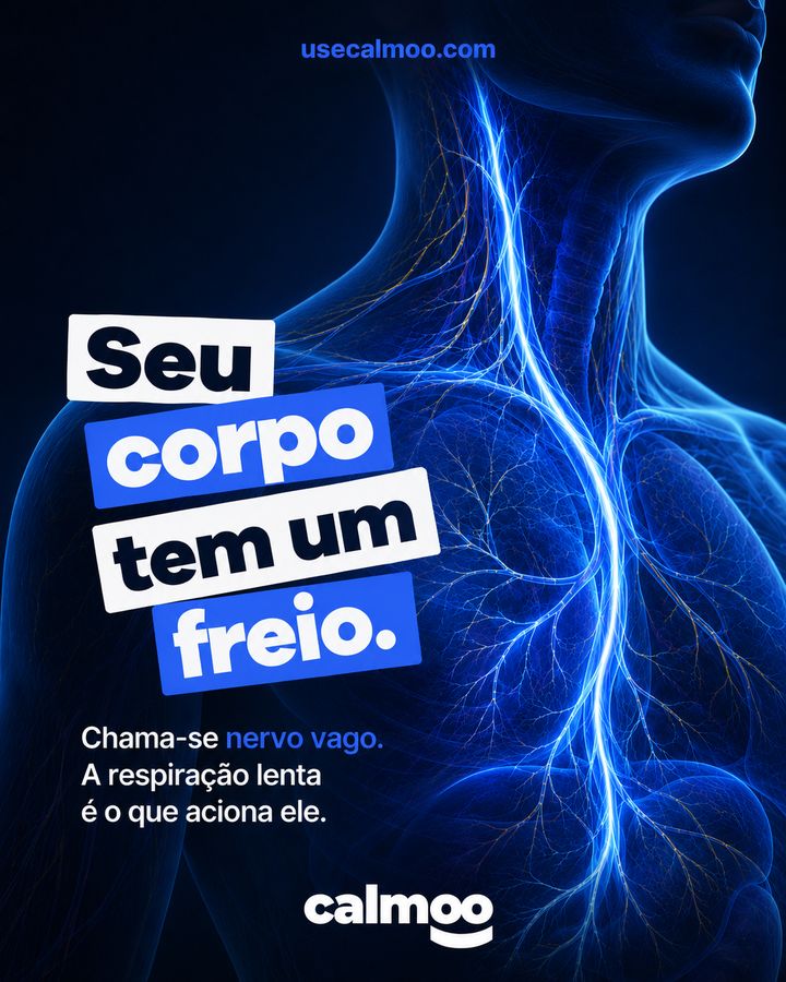 Post criado pela Agency Zero para Calmoo